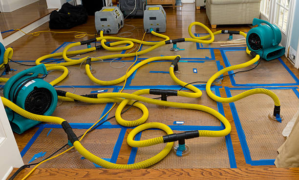 Professional Water Extraction technician working in Wrentham, MA
